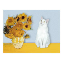 Sunflowers - White cat Post Card