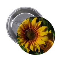 Sunflowers Yellow Pinback Buttons