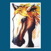 Sunhorse posters