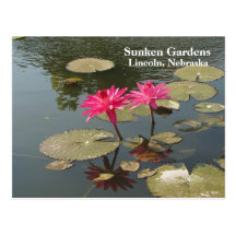Sunken Gardens Pink Water lilies #80N  080 Post Card