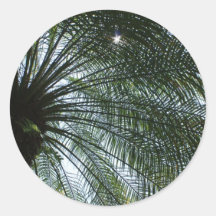 Sunlight Peeking Through Palm Tree Round Sticker
