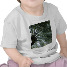 Sunlight Peeking Through Palm Tree T Shirts