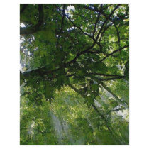 Sunlight Through Trees Full Color Flyer