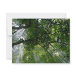 Sunlight Through Trees Personalized Invitation