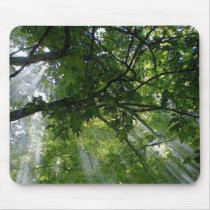 Sunlight Through Trees Mousepads