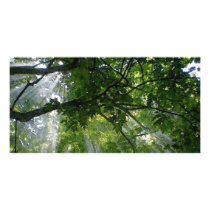 Sunlight Through Trees Personalized Photo Card