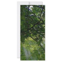 Sunlight Through Trees Customized Rack Card