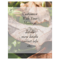Sunlit Baby Spider Personalized Flyer
