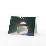 Sunlit Bridge Greeting Cards