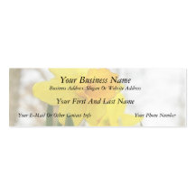 Sunlit Daffodils Business Card Template
