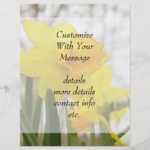 Sunlit Daffodils Full Color Flyer