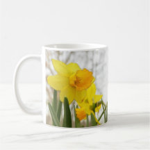 Sunlit Daffodils Mug