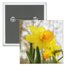 Sunlit Daffodils Pin