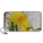 Sunlit Daffodils Speaker