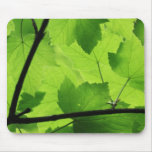 Sunlit Leaves Mousepad