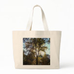 sunlit tree bags