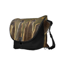 Sunning Meerkats - Messenger Bag