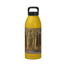 Sunning Meerkats - Water Bottle