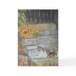 Sunning Tabby cards