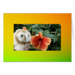 Sunny and Bright Greeting Card