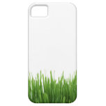 Sunny bright green grass earth photograph print