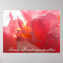 Sunny Confederate Rose posters