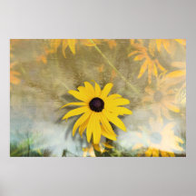 Sunny Day Print