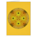 Sunny Dayz Solar Plexus Chakra cards