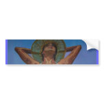 Sunny Delight bumper stickers