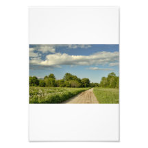 Sunny Field Photo