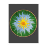 Sunny Forest Terrain Postcards