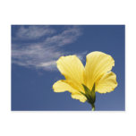 Sunny Hibiscus ~ postcard