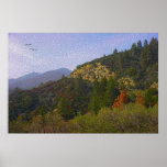 Sunny Hillside Print
