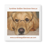 Sunny Magnet - Sunshine Golden Retriever Rescue...