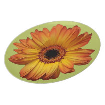 Sunny Orange gerbera flower bloom plates
