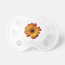 Sunny Orange gerbera flower bloom pacifiers