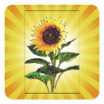 Sunny Painted Sunflower Stickers