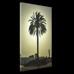 Sunny Palm canvas prints