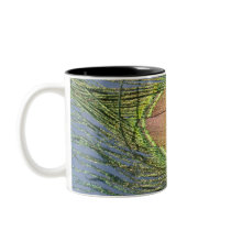 Sunny Peacock Feather Mug