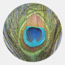 Sunny Peacock Feather Round Stickers
