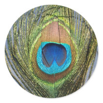 Sunny Peacock Feather Round Stickers