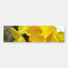 Sunny Petals Bumper Stickers