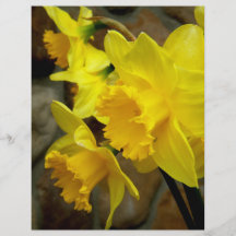 Sunny Petals Personalized Flyer