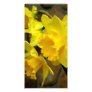 Sunny Petals Custom Photo Card
