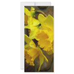 Sunny Petals Rack Cards