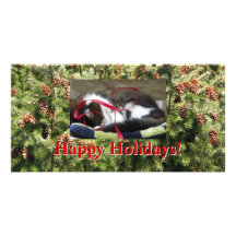 Sunny pinecones Happy Holidays photocard Customized Photo Card