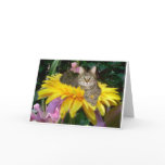 Sunny Side of the Street Cards