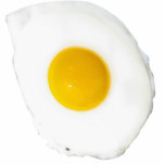 Sunny-side Up! photo sculptures