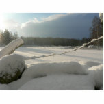 Sunny Snowy Fields photo sculptures