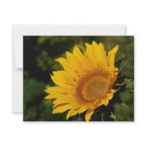 Sunny sunflower and meaning personalized invite